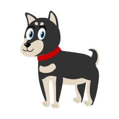 Perro Shiba Negro