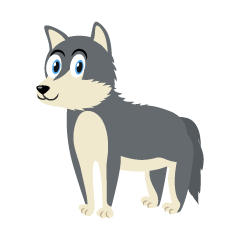 Siberian Husky