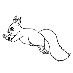 Jumping Squirrel