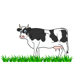 Cow in Pasture