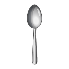 Stainless Spoon