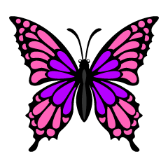 Pink Purple Butterfly