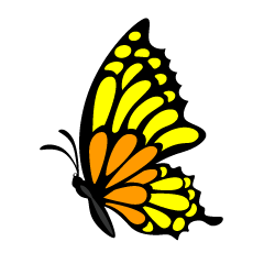 Mariposa Amarillo Naranja Lateral