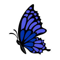 Mariposa Azul Marino Lateral