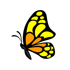 Small Yellow Orange Butterfly Side