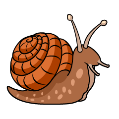 Caracol Marrón