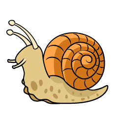 Caracol hacia Adelante