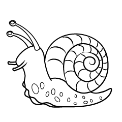 Forward Snail