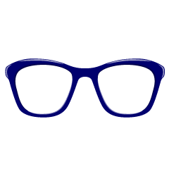 Navy Glasses