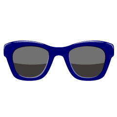 Navy Sunglasses