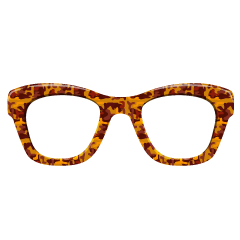 Thick Tortoise Shell Glasses