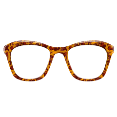 Tortoise Shell Glasses