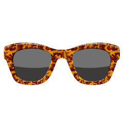 Thick Tortoise Shell Sunglasses