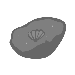 Fossil Stone