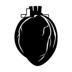 Human Heart