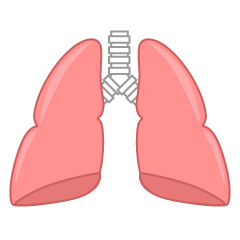 Lung