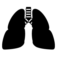 Lung