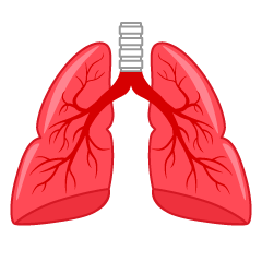 Inflamed Bronchus