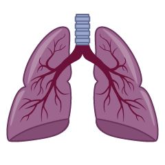 Unhealthy Bronchus