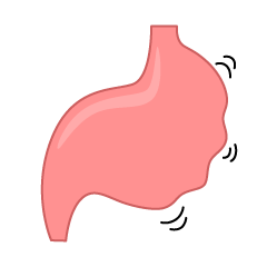 Stomach Activity