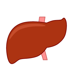 Fatty Liver