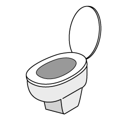 Toilet Bowl