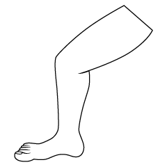 Male Leg