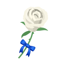 A White Rose