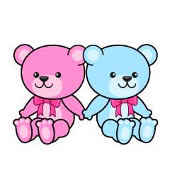 Pink and Blue Teddy Bear