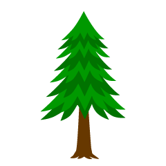 Evergreen Tree