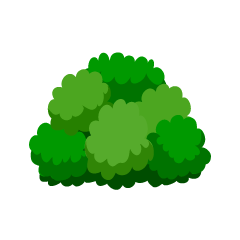 Small Bush