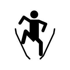 Ski Player Pictogram