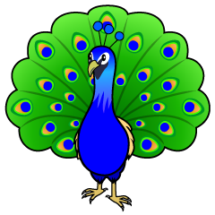 Displaying Peacock