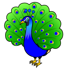 Peacock