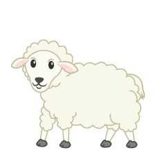 Sheep