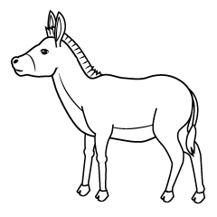 Donkey