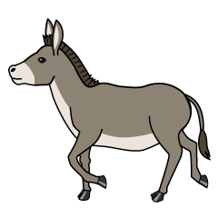 Taupe Donkey Walking