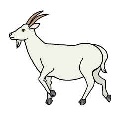 Walking Goat