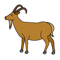 Brown Goat