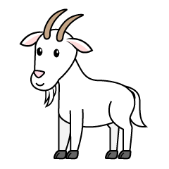 Cute Goat