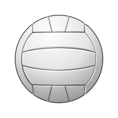 Pelota de voleibol