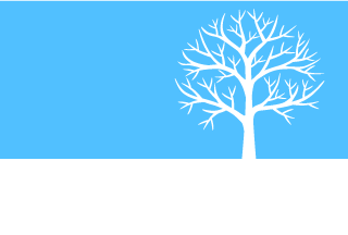 Una rama de árbol de pie en el campo nevado