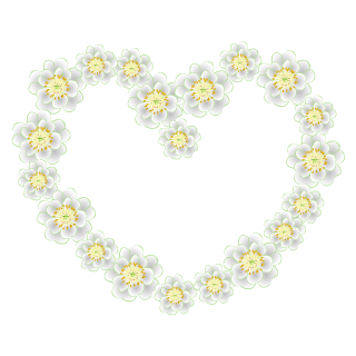 Corazón de guirnalda de flores blancas