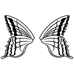 Butterfly Wings