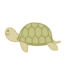 Cute Sea Turtle