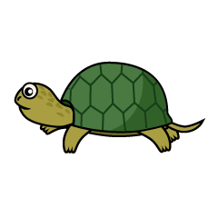 Tortuga