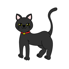 Gato negro