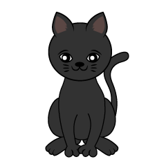 Black Kitten