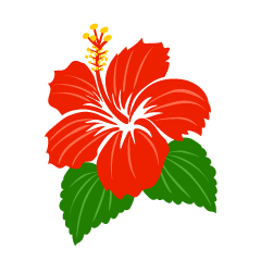 Simple Red Hibiscus