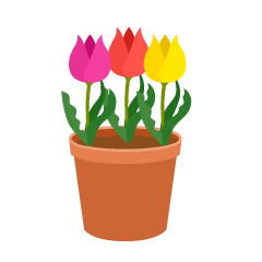 Potted Three Tulip